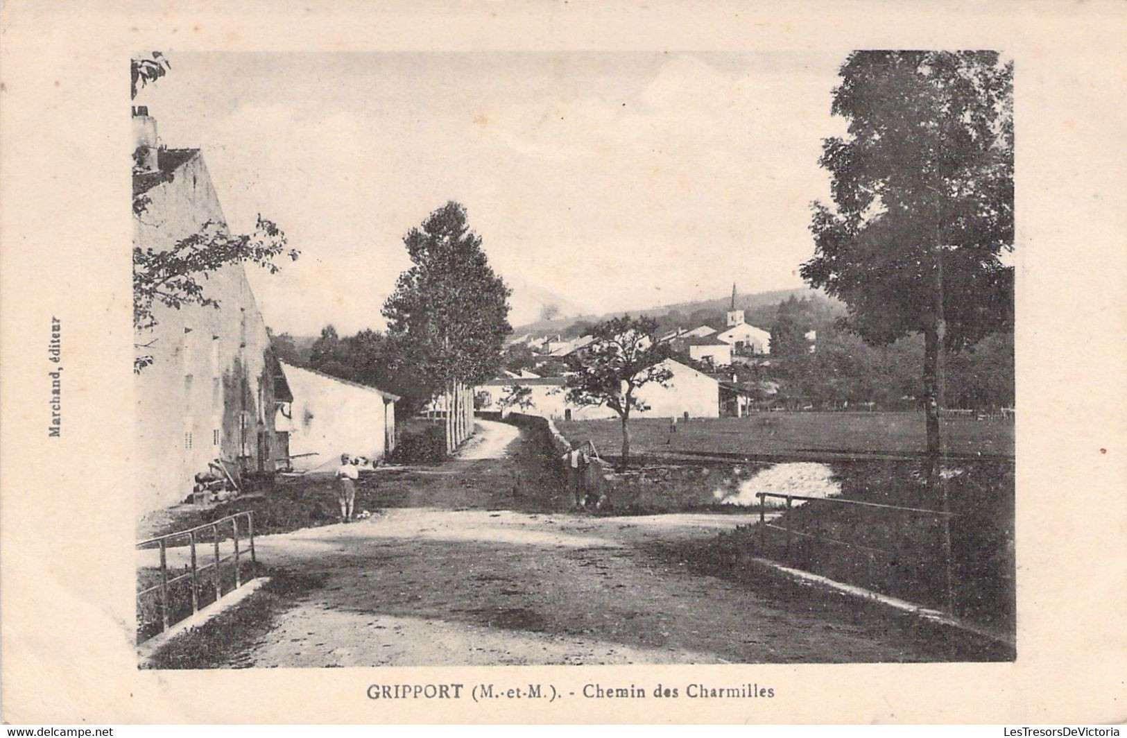 FRANCE - 54 - GRIPPORT - Chemin Des Charmilles - Marchand éditeur - Carte Postale Ancienne - Sonstige & Ohne Zuordnung