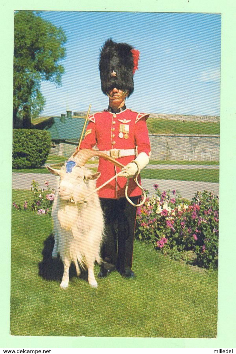 W1074 - CANADA - Québec - Caporal Attitré à La Garde De " Baptiste " - La Mascotte Du Royal 22e Régiment à La Citadelle - Québec - La Citadelle