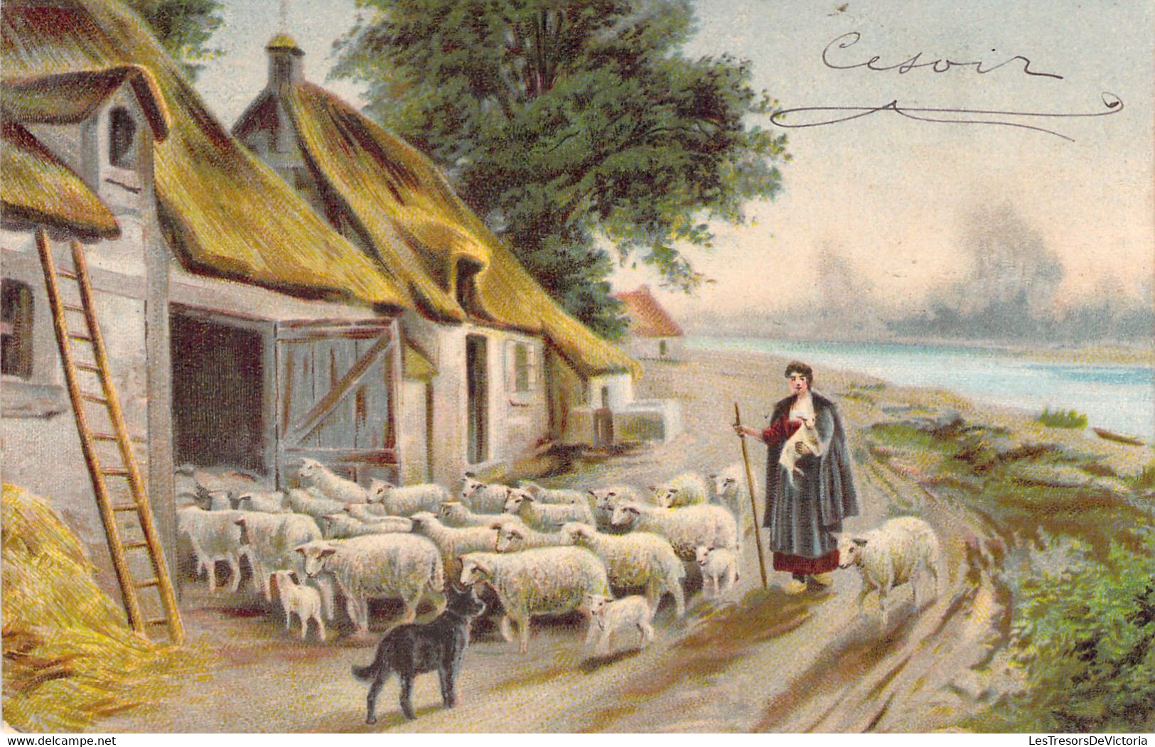 Métiers - Bergère - Illustration Non Signée - Moutons - Chien De Berger - Carte Postale Ancienne - Paysans