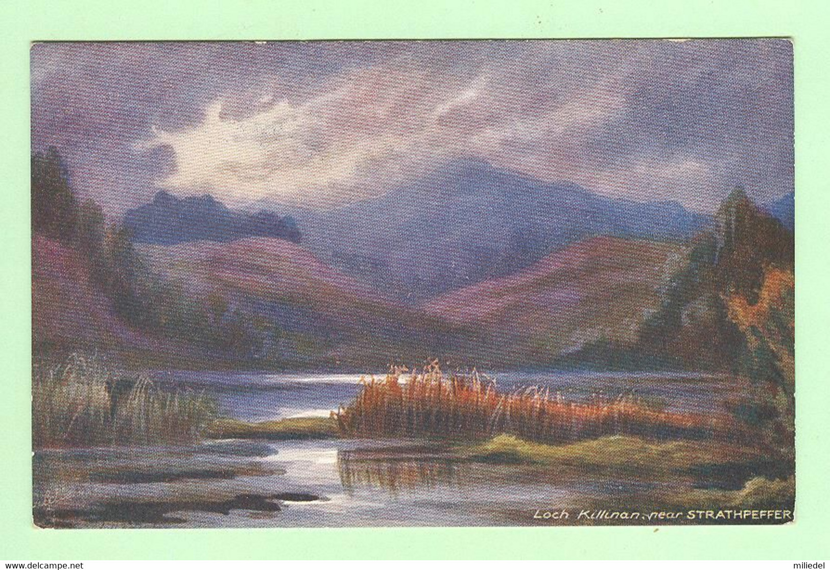 W1098 - ECOSSE - Loch Killinan, Near STRATHPEFFER - Carte Oilette - Bonnie Scotland - Ross & Cromarty