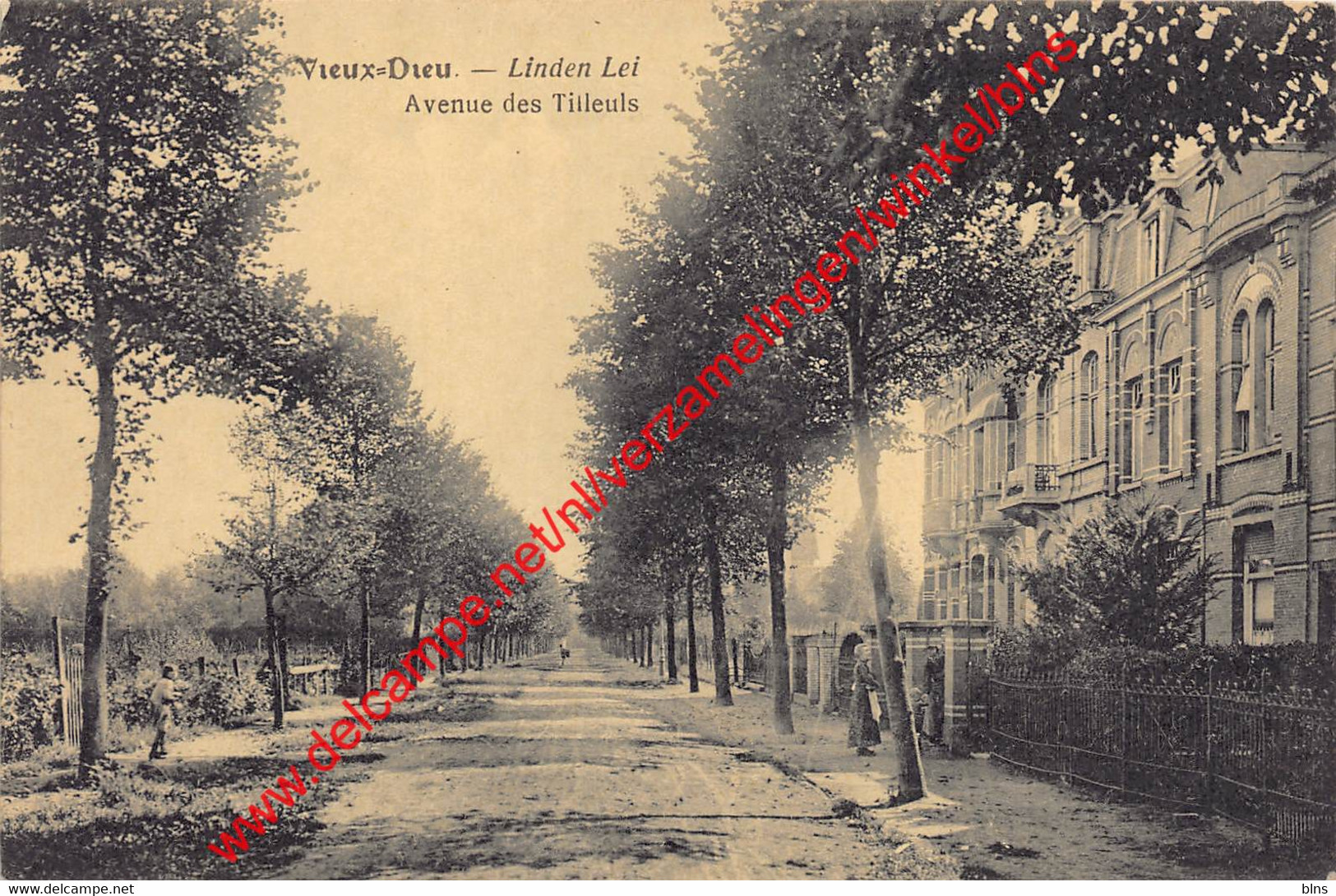 Vieux-Dieu Avenue Des Tilleuls - Oude-God Linden Lei - Mortsel - Mortsel