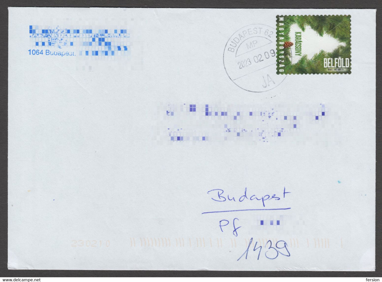 Christmas PINE Tree CONE Hungary 2021 MABEOSZ Cover Letter - Covers & Documents