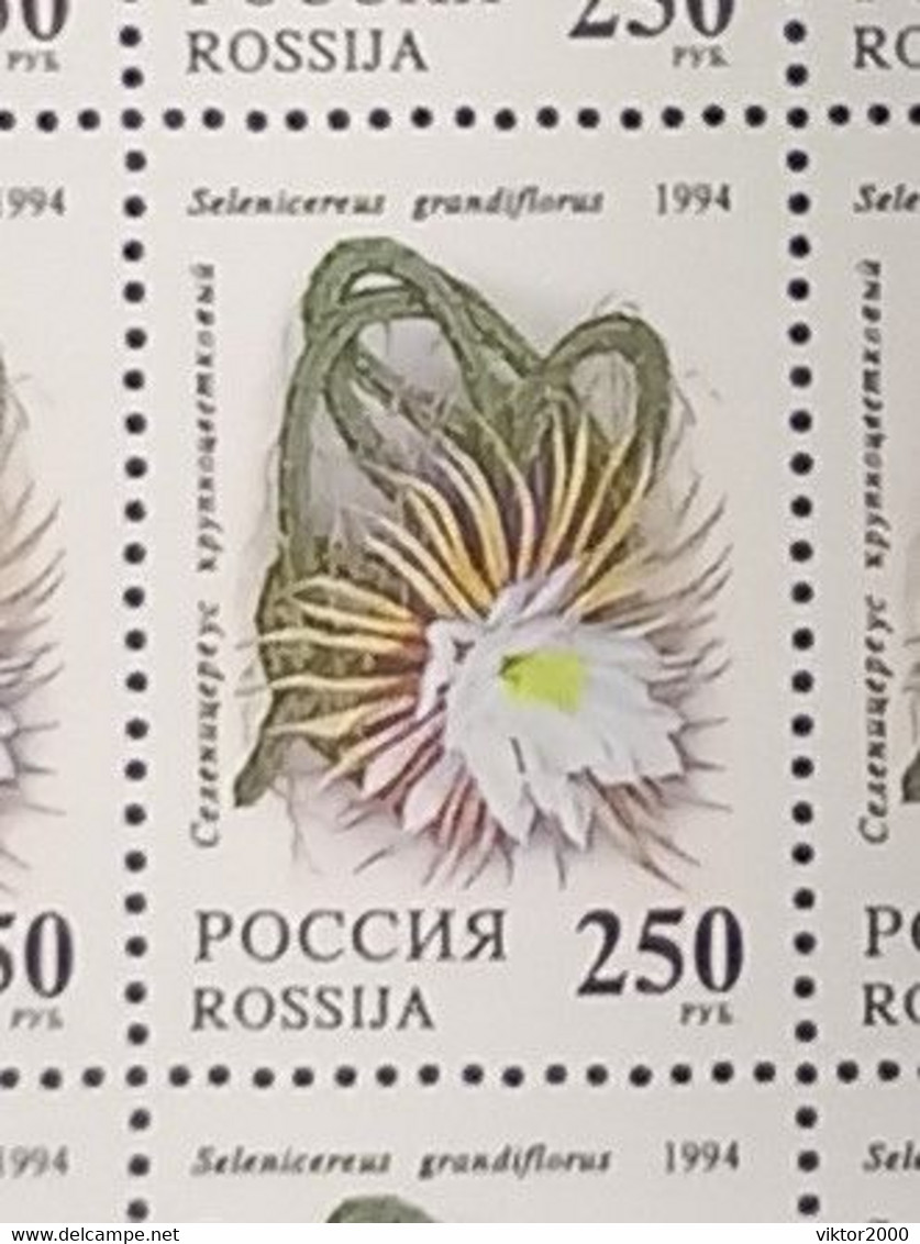 RUSSIA MNH (**)1994 Cactuses  YVERT 6052-6055 Mi 363-367 - Volledige Vellen