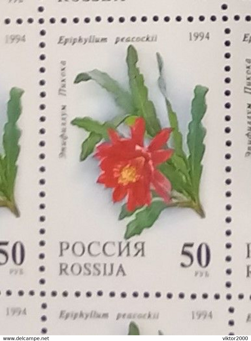 RUSSIA MNH (**)1994 Cactuses  YVERT 6052-6055 Mi 363-367 - Fogli Completi