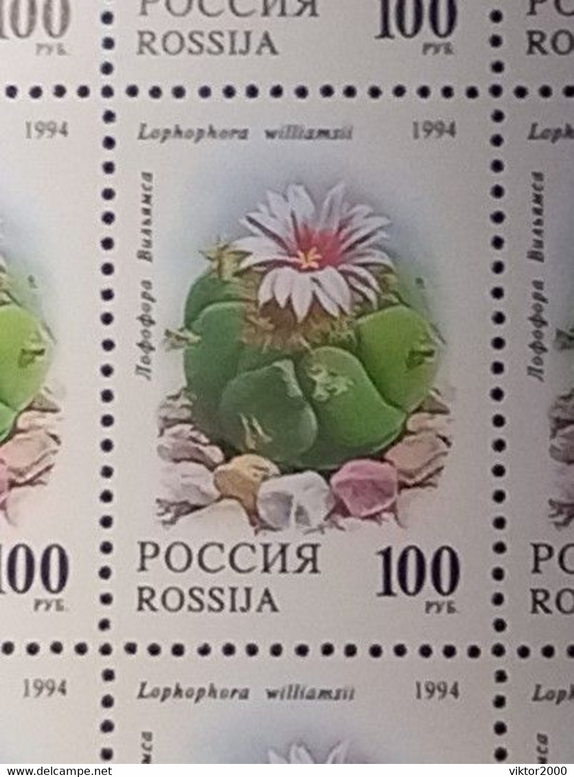 RUSSIA MNH (**)1994 Cactuses  YVERT 6052-6055 Mi 363-367 - Ganze Bögen