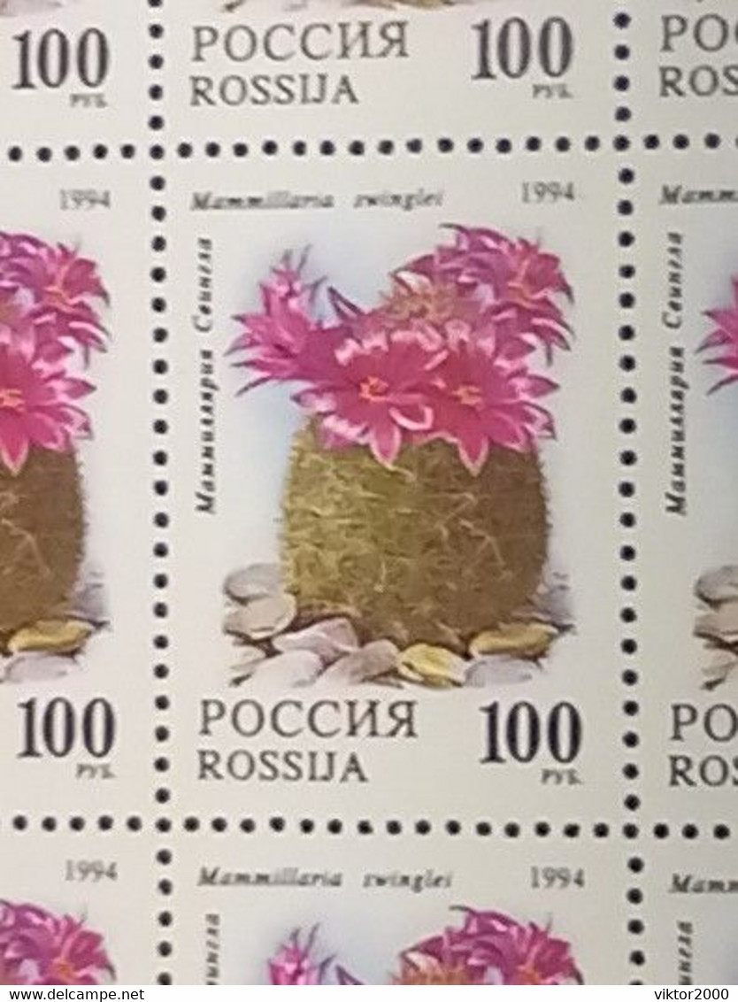 RUSSIA MNH (**)1994 Cactuses  YVERT 6052-6055 Mi 363-367 - Fogli Completi