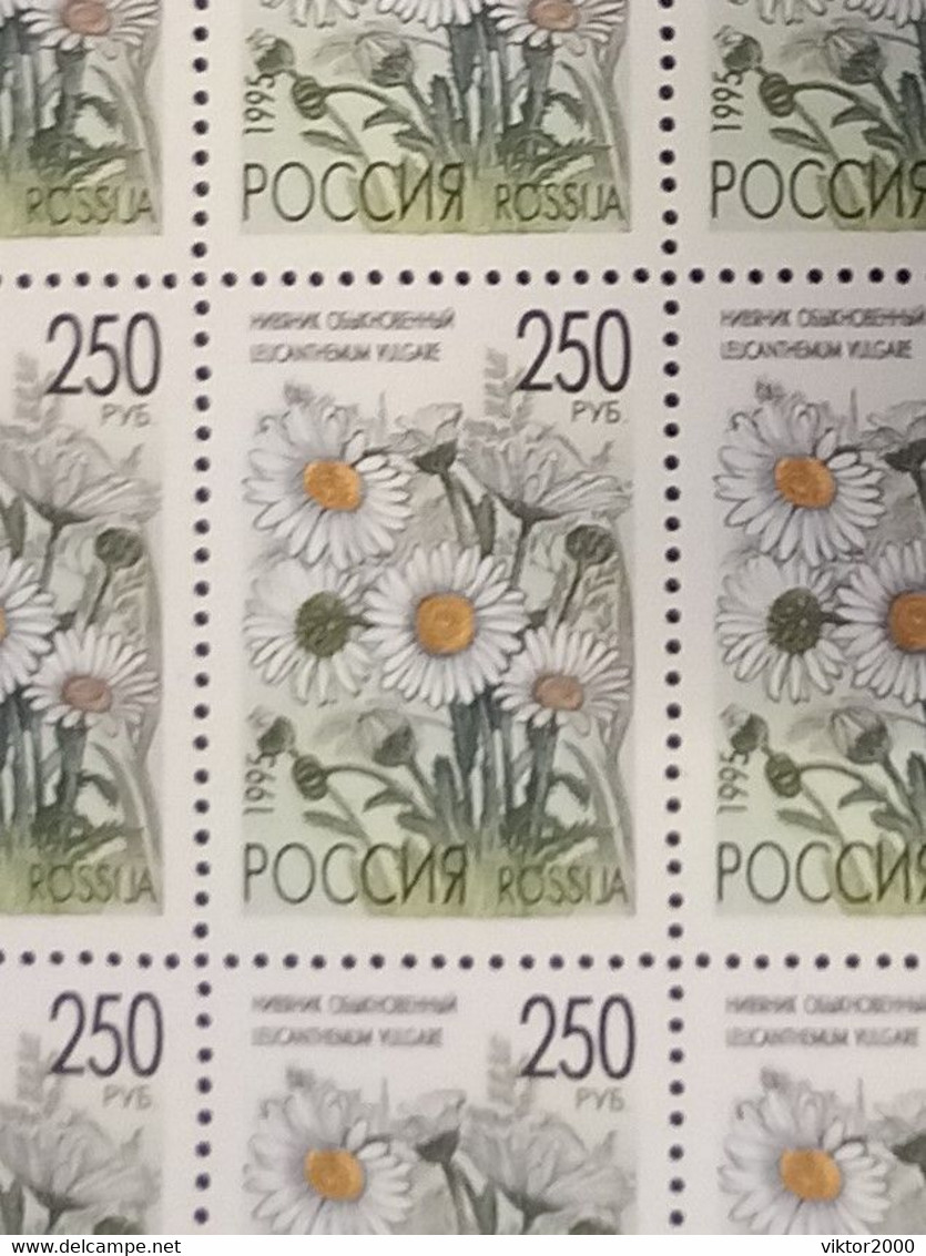 RUSSIA MNH (**) 1995 Meadow Flowers YVERT6122 -6126 Mi 425-429 - Fogli Completi