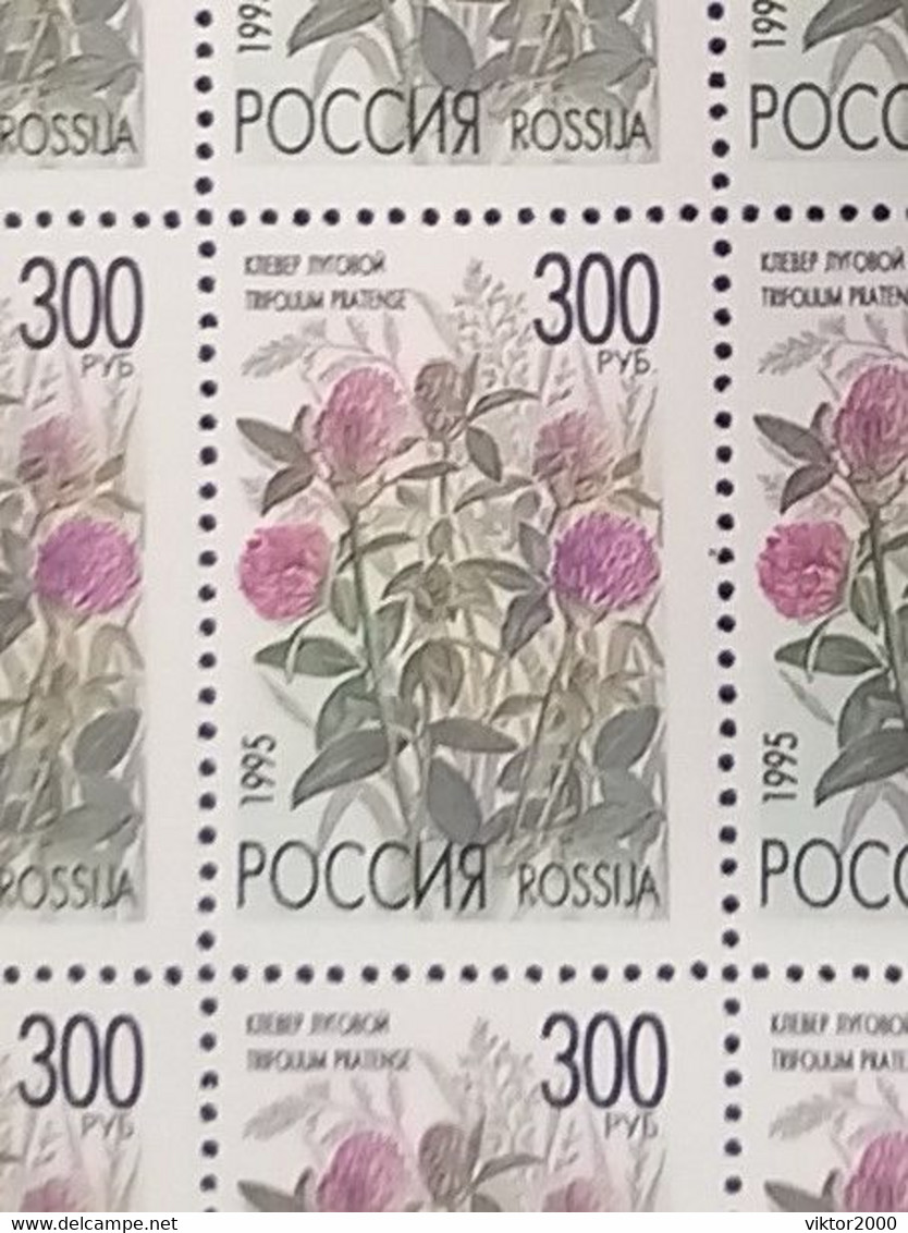 RUSSIA MNH (**) 1995 Meadow Flowers YVERT6122 -6126 Mi 425-429 - Fogli Completi