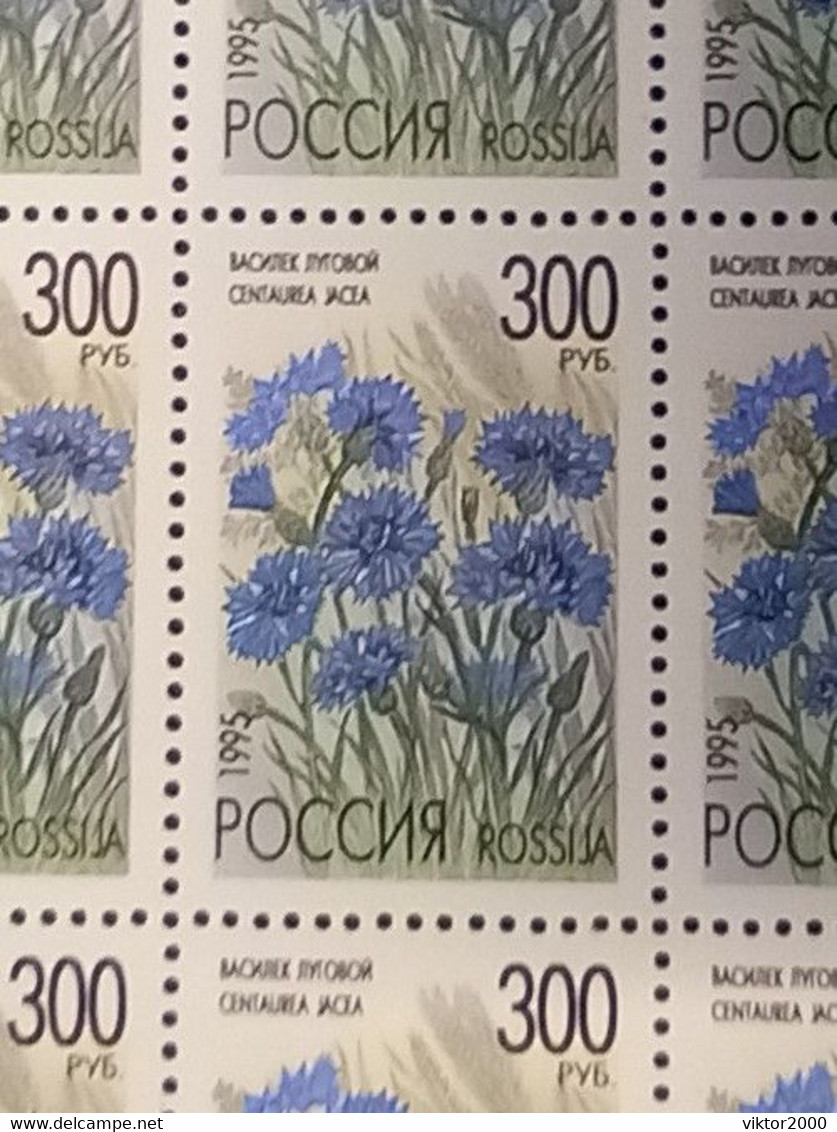 RUSSIA MNH (**) 1995 Meadow Flowers YVERT6122 -6126 Mi 425-429 - Fogli Completi