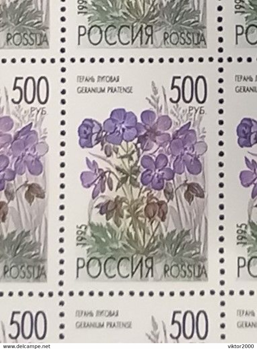 RUSSIA MNH (**) 1995 Meadow Flowers YVERT6122 -6126 Mi 425-429 - Fogli Completi