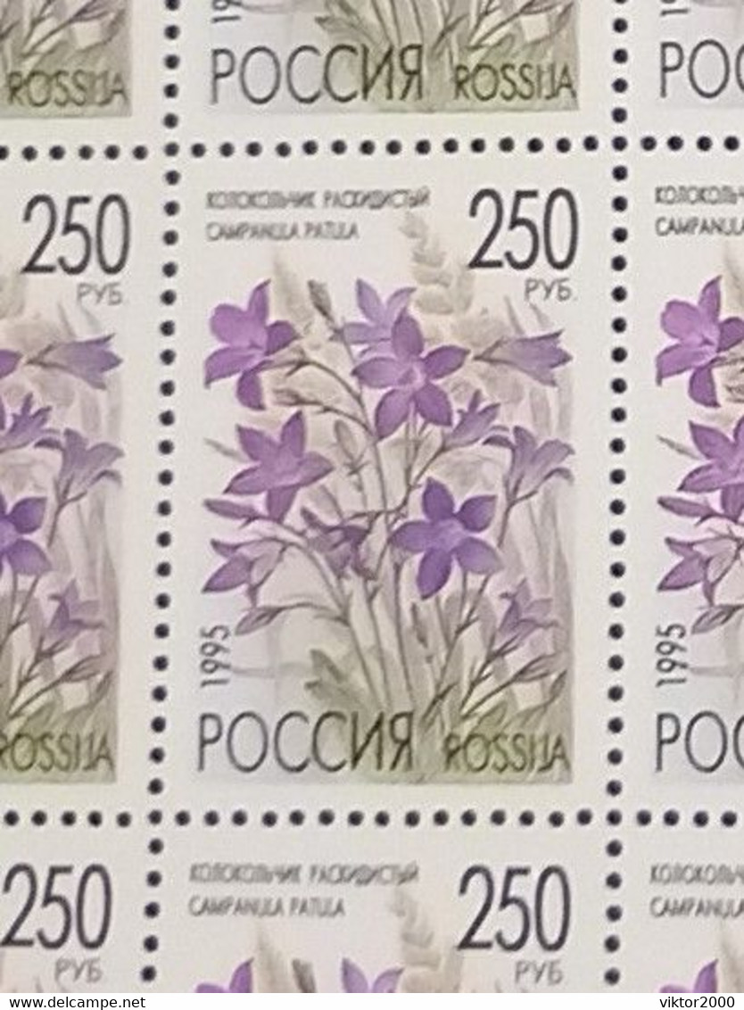 RUSSIA MNH (**) 1995 Meadow Flowers YVERT6122 -6126 Mi 425-429 - Full Sheets