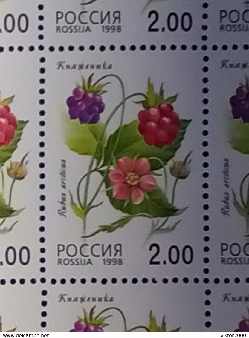 RUSSIA MNH (**) 1998 Berries YVERT 6248-6252 Mi 668-672 - Ganze Bögen