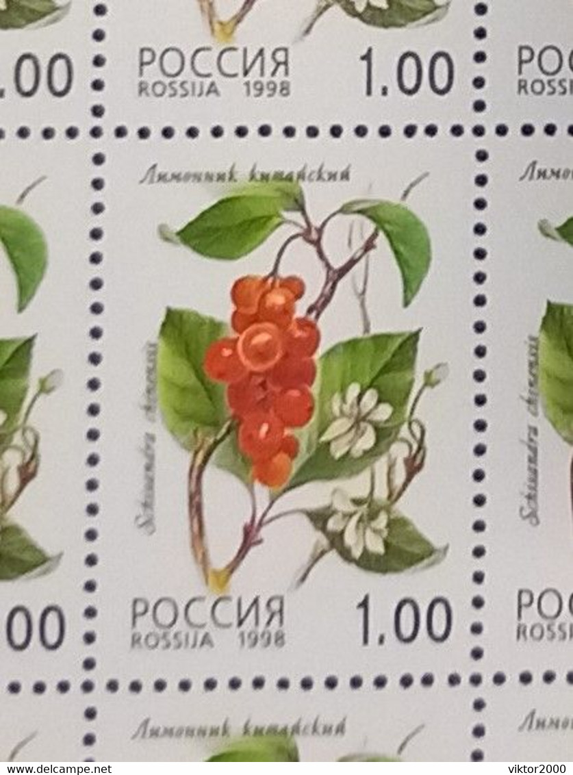 RUSSIA MNH (**) 1998 Berries YVERT 6248-6252 Mi 668-672 - Fogli Completi