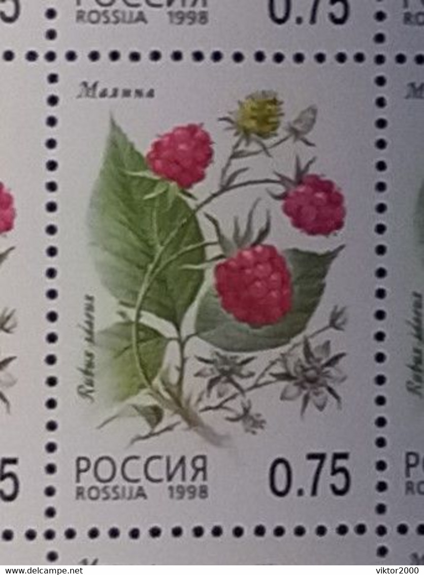 RUSSIA MNH (**) 1998 Berries YVERT 6248-6252 Mi 668-672 - Fogli Completi