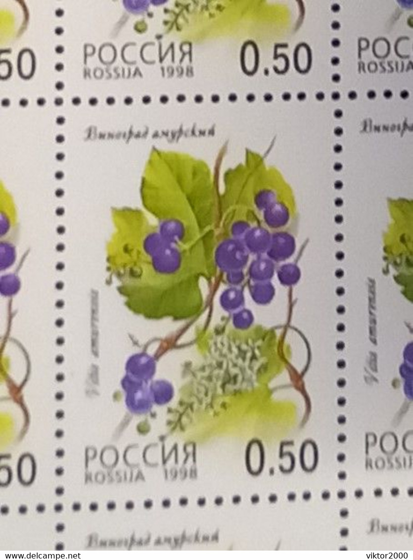 RUSSIA MNH (**) 1998 Berries YVERT 6248-6252 Mi 668-672 - Feuilles Complètes