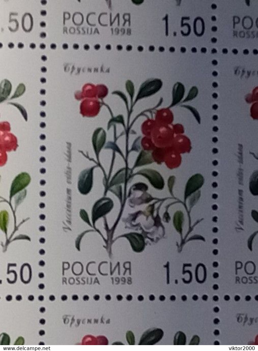 RUSSIA MNH (**) 1998 Berries YVERT 6248-6252 Mi 668-672 - Fogli Completi