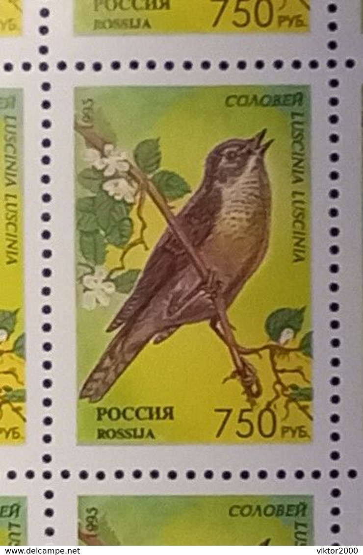 RUSSIA MNH (**)1995 Songbirds  YVERT6127-6131  Mi 440-444 - Fogli Completi