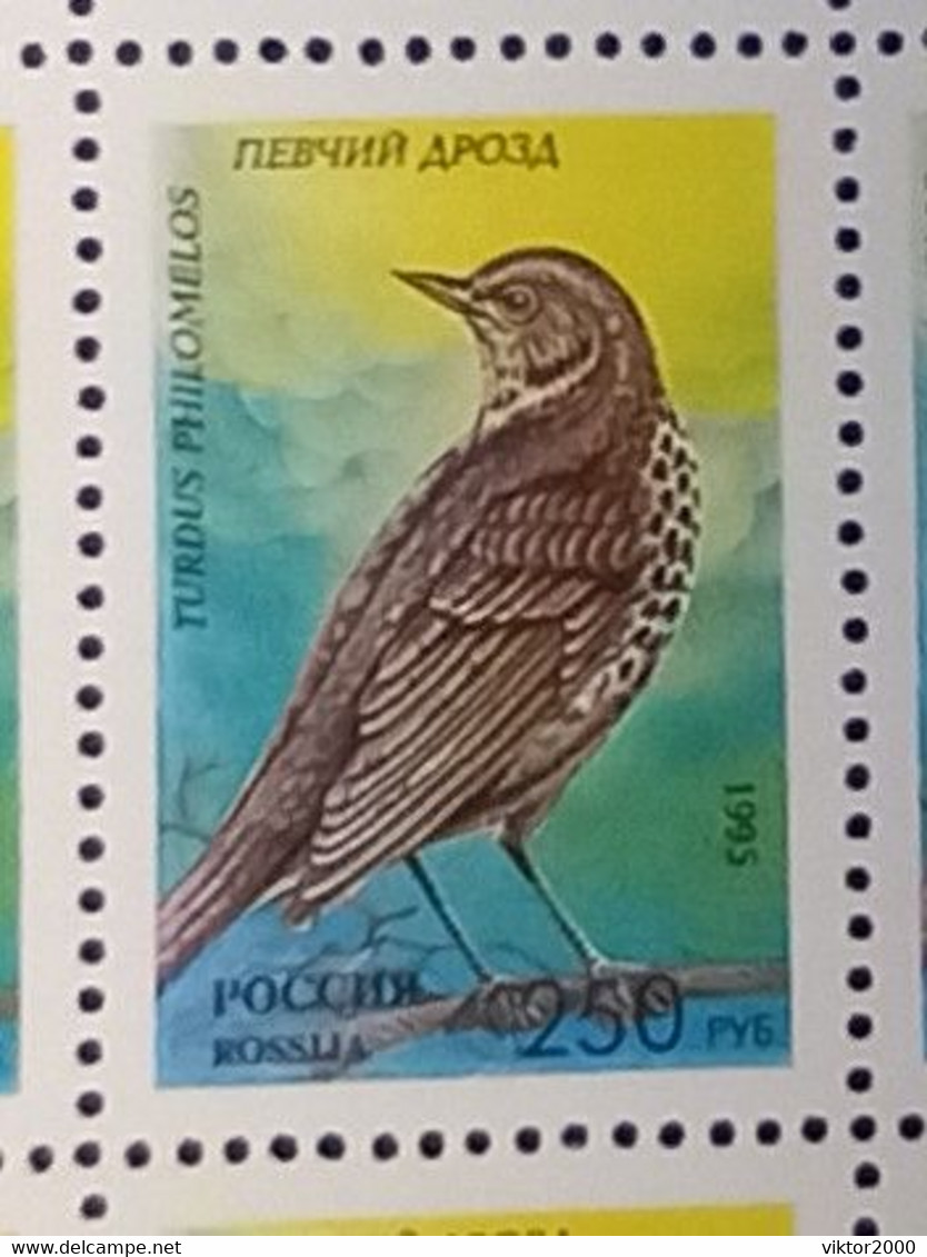 RUSSIA MNH (**)1995 Songbirds  YVERT6127-6131  Mi 440-444 - Full Sheets