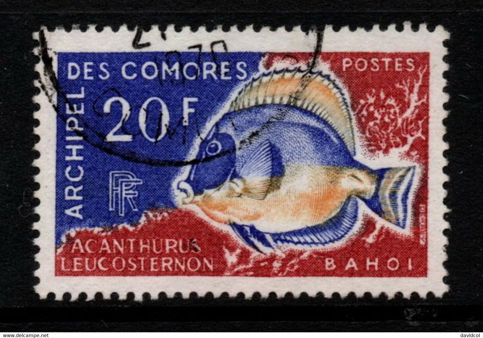 2069A- COMORO ISLANDS - 1968 - SC#: 74 - USED - SURGEON FISH - Used Stamps
