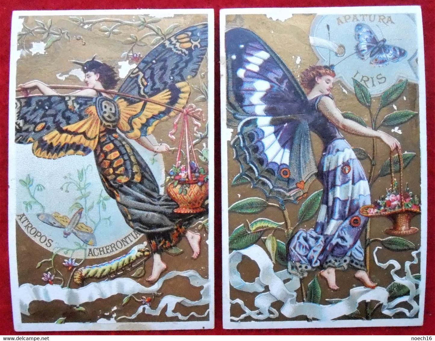 2 Chromos Dorés / Publicité. Femmes Papillons - Chicorée "A La Belle Jardinière". C. Bériot à Lille - Thé & Café