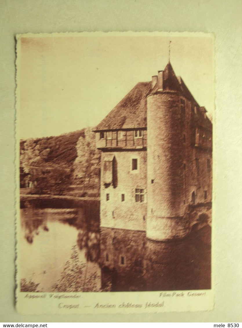 48544 - CRUPUT - ANCIEN CHATEAU FEODAL - ZIE 2 FOTO'S - Assesse