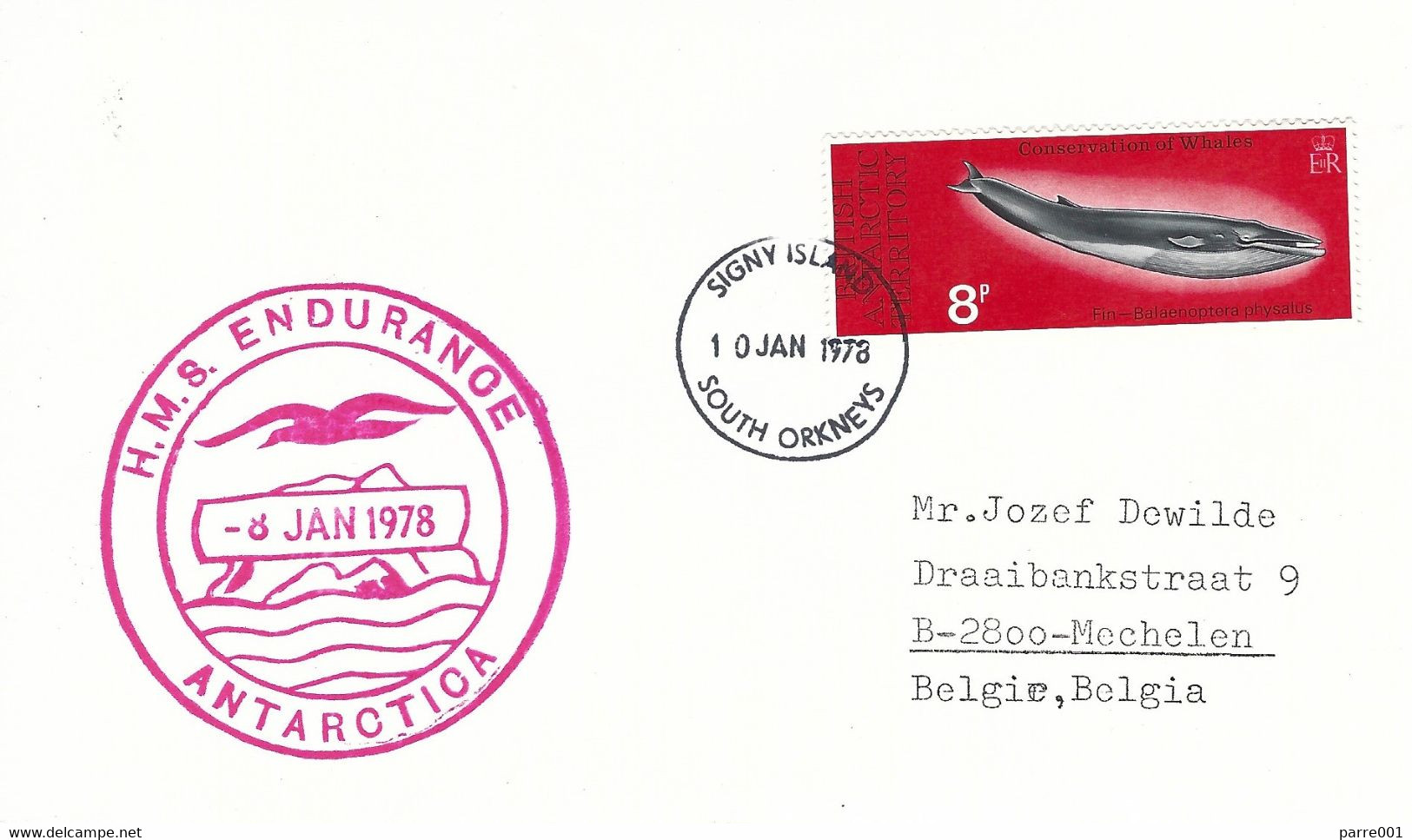 BAT 1978 Signy Fin Whale Balaenoptera Physalus Antarctica HMS Endurance Royal Navy Ice Patrol Vessel Cover - Baleines