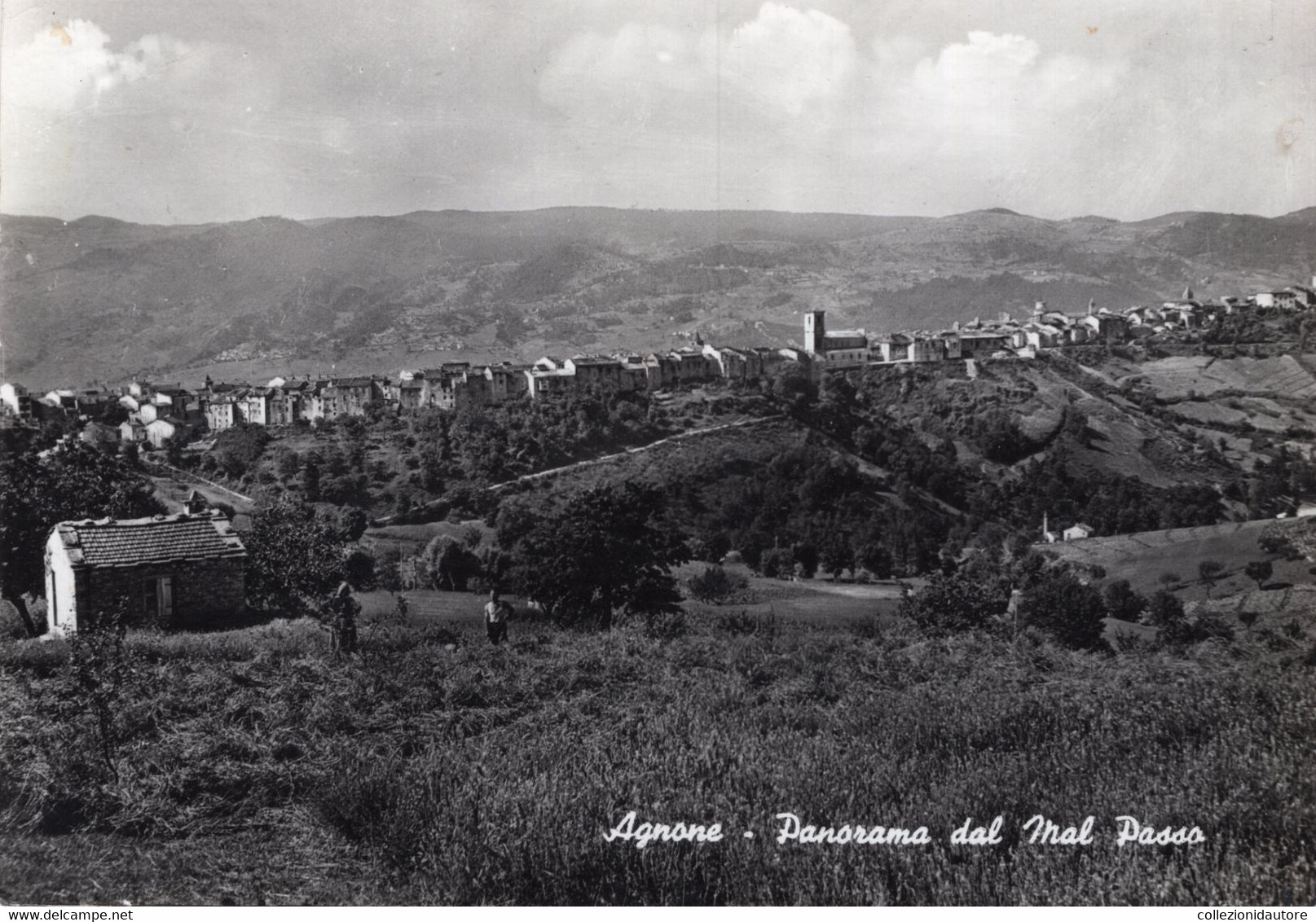 AGNONE - PANORAMA DAL MAL PASSO - CARTOLINA FG SPEDITA NEL 1964 - Isernia