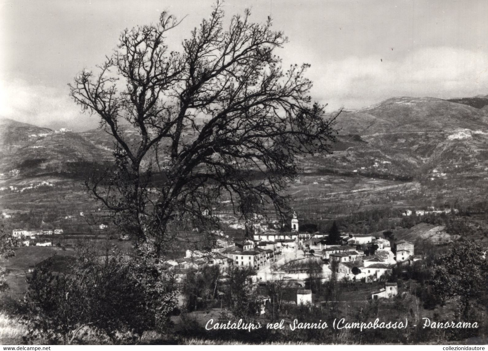 CANTALUPO NEL SANNIO - PANORAMA - CARTOLINA FG SPEDITA ANNI 50 - Isernia