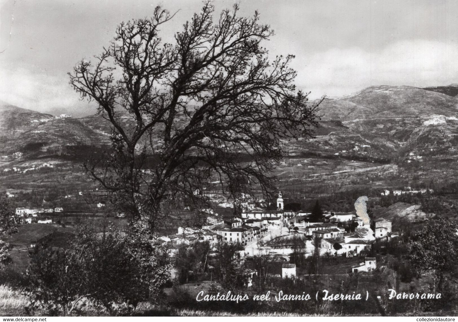 CANTALUPO NEL SANNIO - PANORAMA - CARTOLINA FG SPEDITA ANNI 70 - Isernia