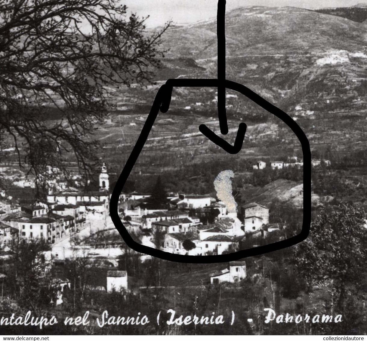 CANTALUPO NEL SANNIO - PANORAMA - CARTOLINA FG SPEDITA ANNI 70 - Isernia