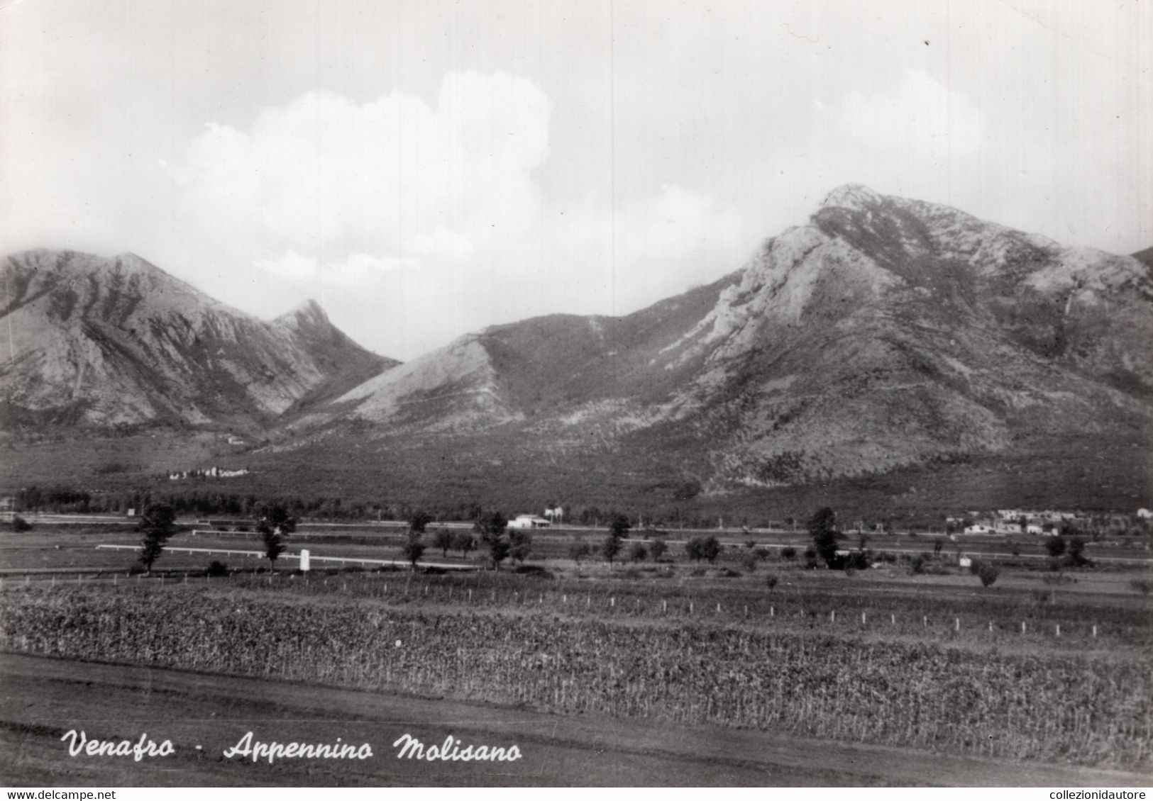 VENAFRO -  APPENNINO MOLISANO - CARTOLINA FG NUOVA - Isernia