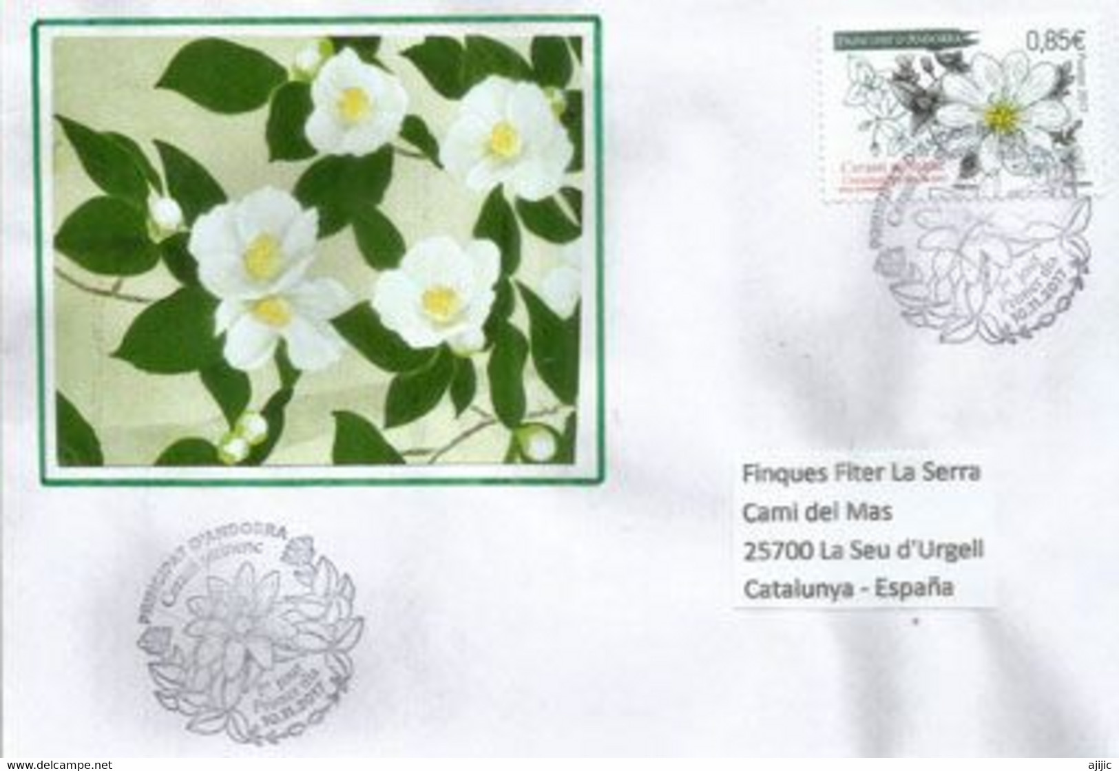 ANDORRA. 2017 Flore .Céraiste Des Pyrénées & Fleurs D'Andorre. Lettre FDC - Storia Postale