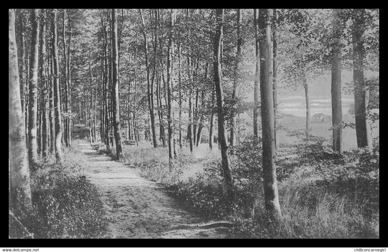 * RHODE ST GENESE - ST GENESIUS RODE - Grande Espinette - Café Restaurant De La Belle Alliance - Avenue Francus - 1911 - Rhode-St-Genèse - St-Genesius-Rode