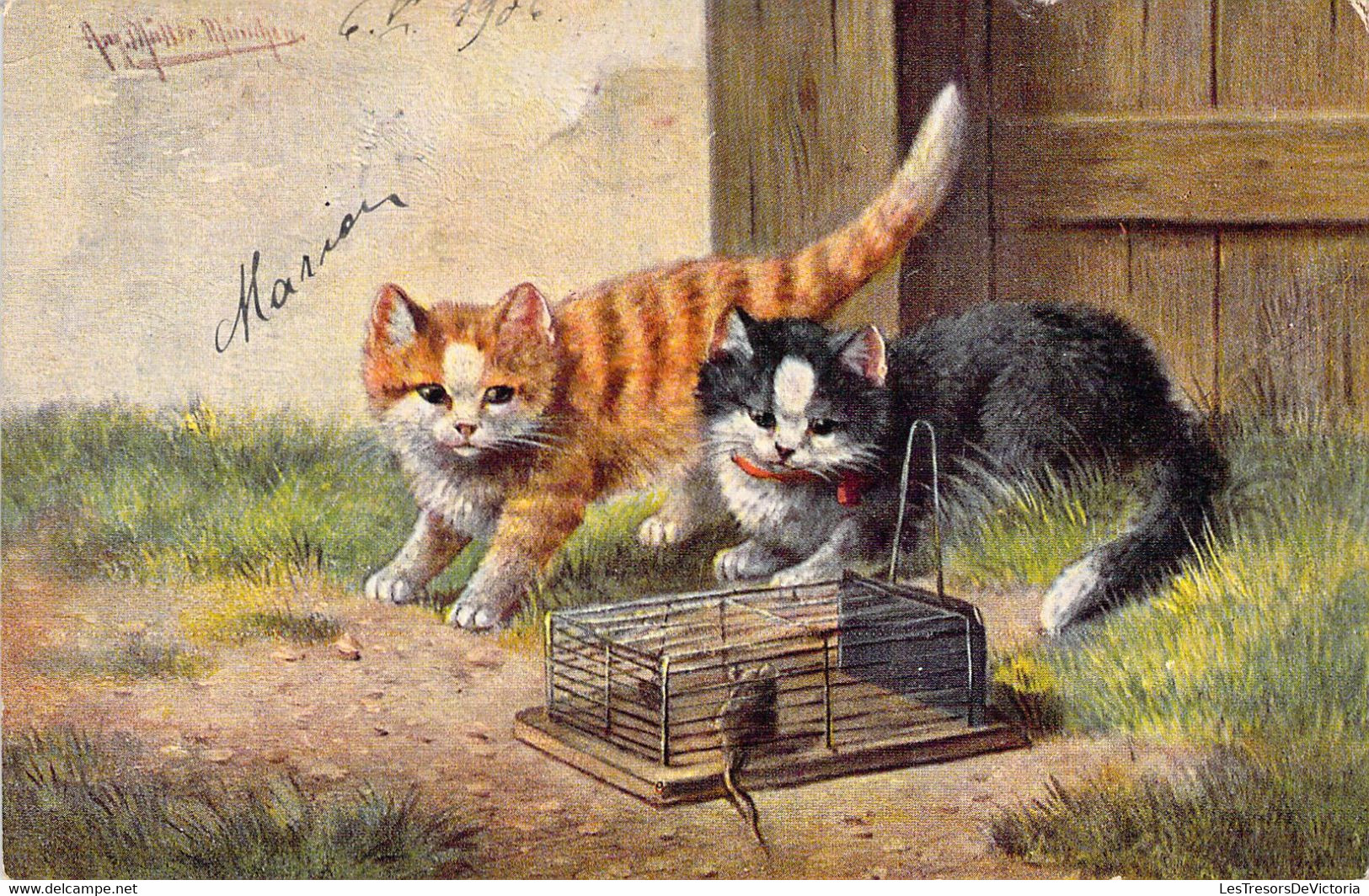 ANIMAUX - Chats Roux - Chat Noir Et Blanc Devant Une Souris Prise Dans Un Piège - Illustration  - Carte Postale Ancienne - Cats