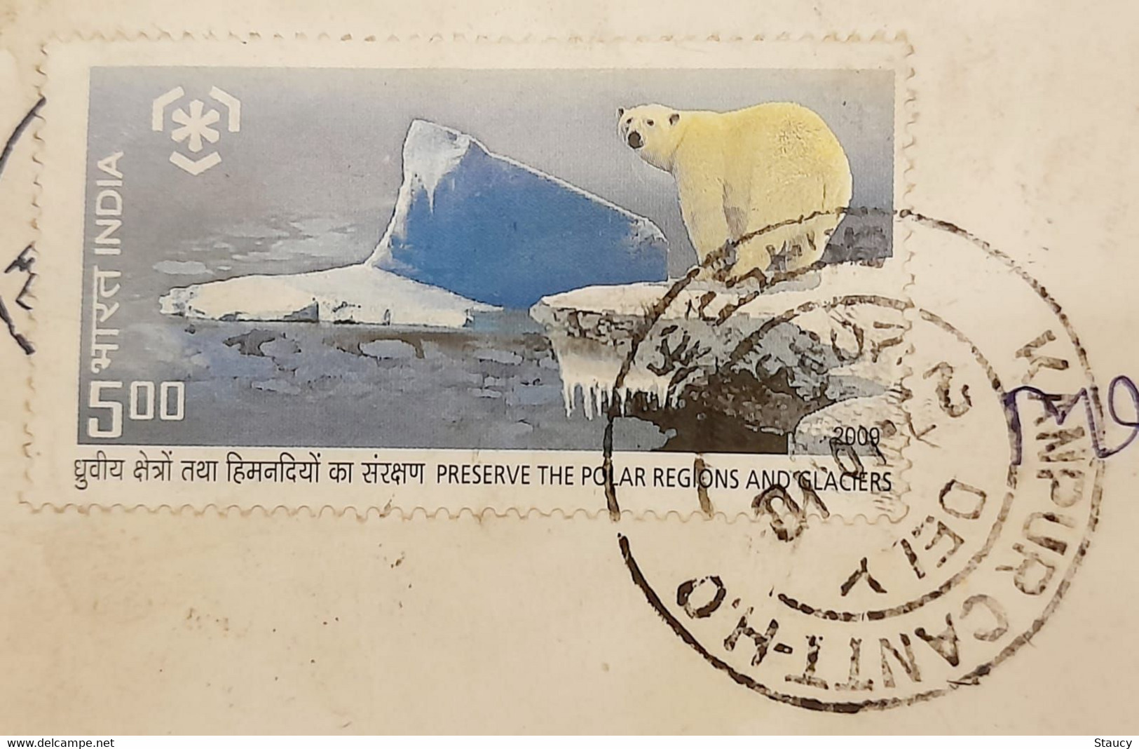 INDIA 2010 Preserve Polar Region & Glaciers Stamps Franked On Postal Cover As Per Scan - Preservare Le Regioni Polari E Ghiacciai