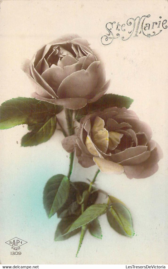 Fantaisie - Fleur - Pivoine - Ste Marie - Carte Postale Ancienne - Fleurs