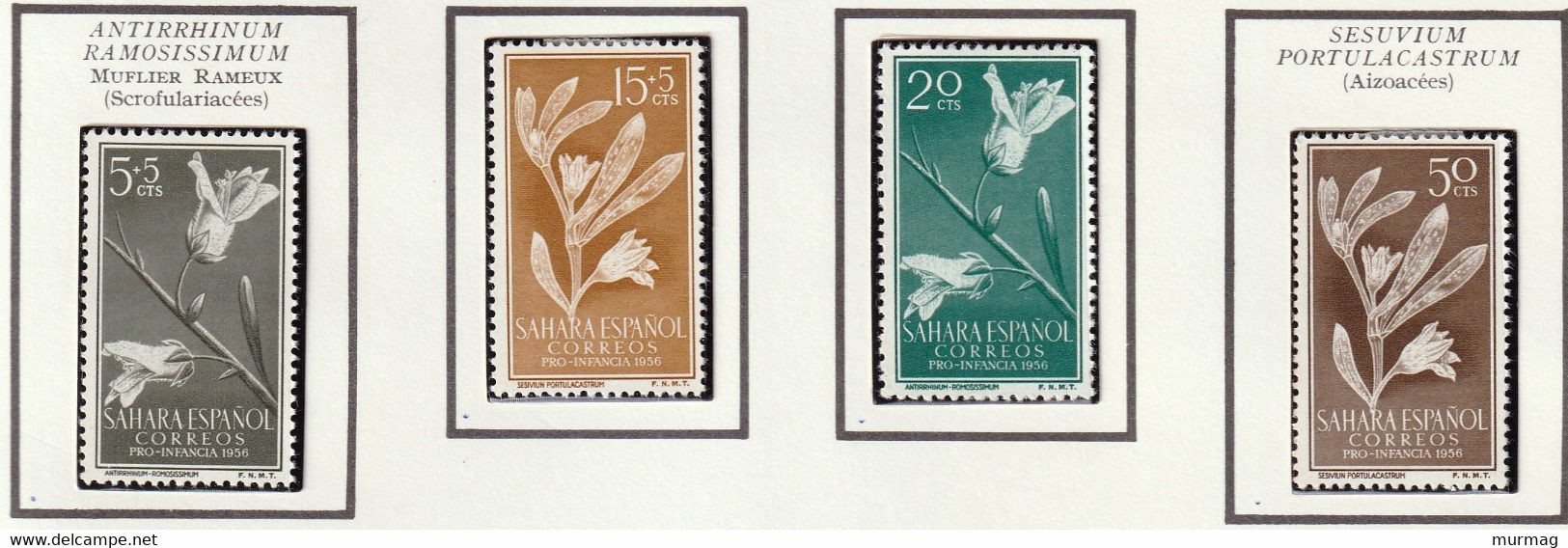 SAHARA ESPAGNOL - Fleurs, Mufliers - Y&T N° 113-116 - 1956 - MNH - Sahara Español