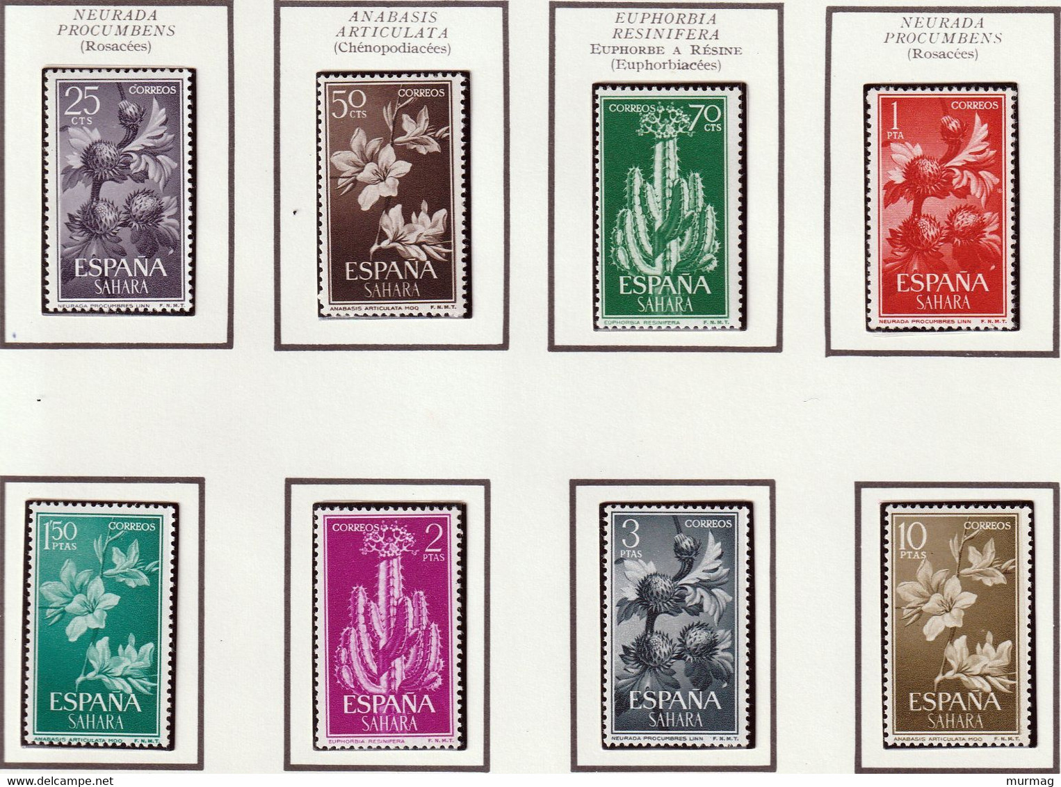 SAHARA ESPAGNOL - Fleurs Et Cactus - Y&T N° 186-194 - 1962 - MNH - Sahara Español