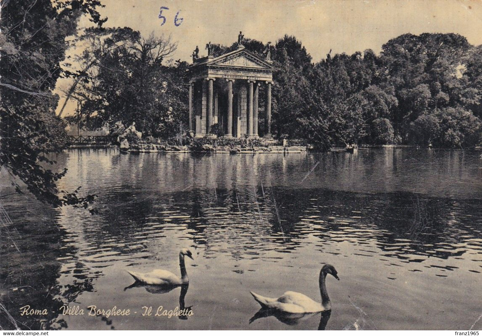 Roma - Villa Borghese - 1954 - Parchi & Giardini