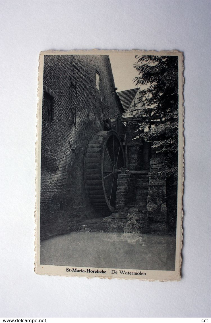 Sint-Maria-Horebeke   Horebeke   De Watermolen  MOULIN A EAU - Horebeke