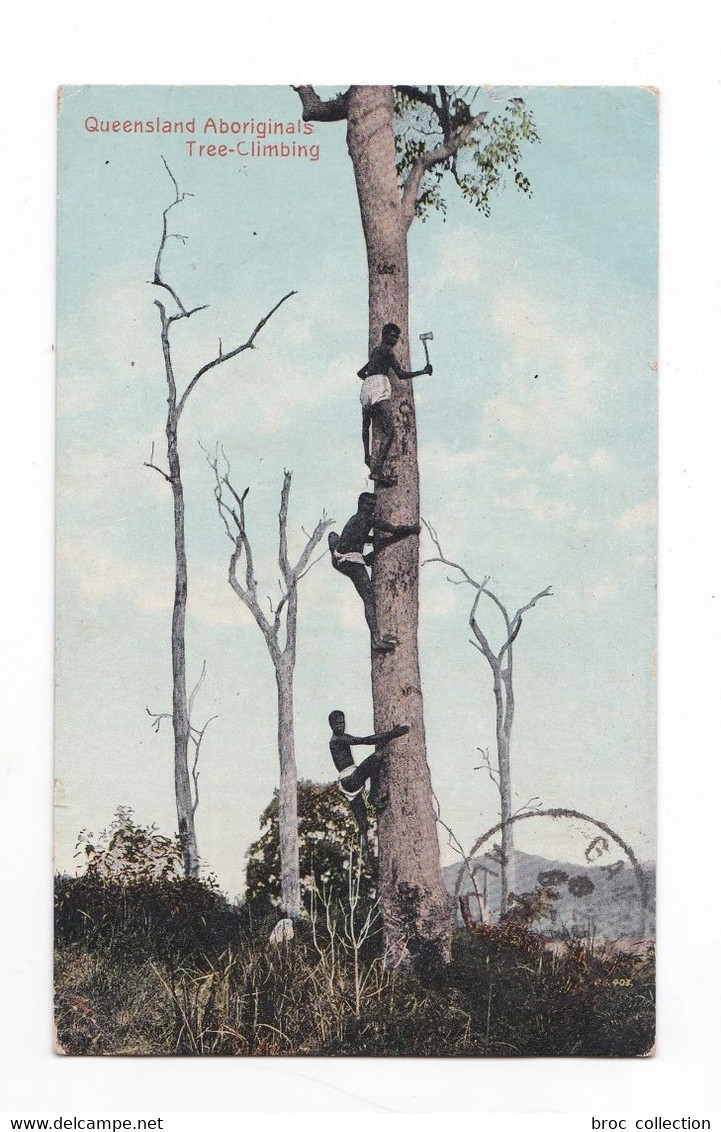 Queensland Arboriginals, Tree-climbing, éd. Valentine & Sons, 1919 - Autres & Non Classés