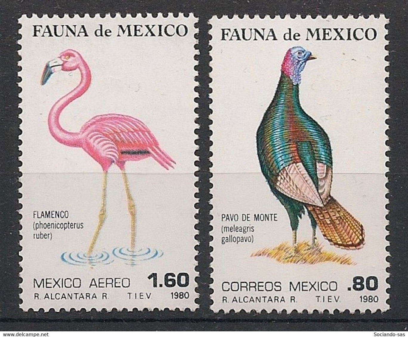 MEXICO - 1980 - N°Yv. 891 + PA 530 - Oiseaux / Birds - Neuf Luxe ** / MNH / Postfrisch - Flamingo's