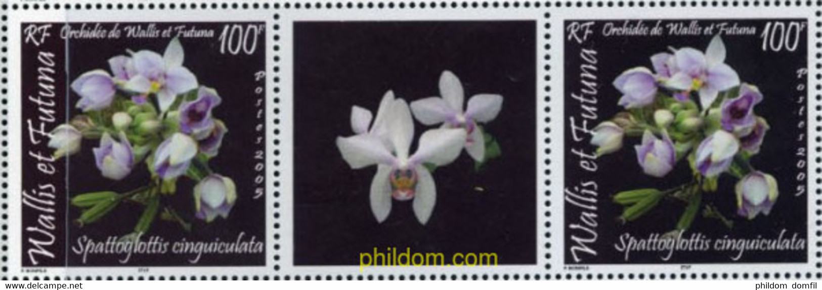 677829 MNH WALLIS Y FUTUNA 2005 ORQUIDEA - Usados