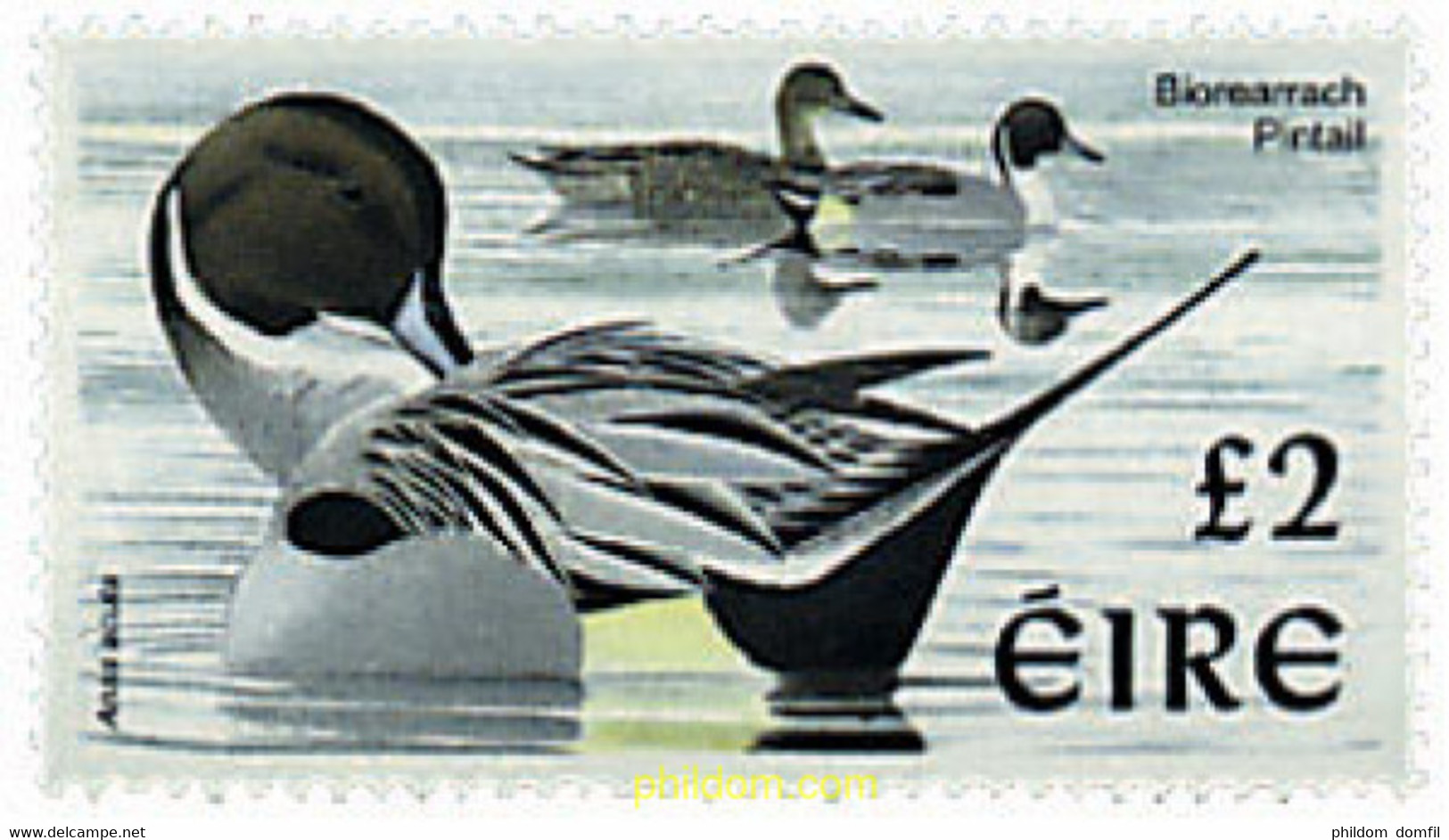 613100 MNH IRLANDA 1998 PAJAROS DE IRLANDA - Collezioni & Lotti