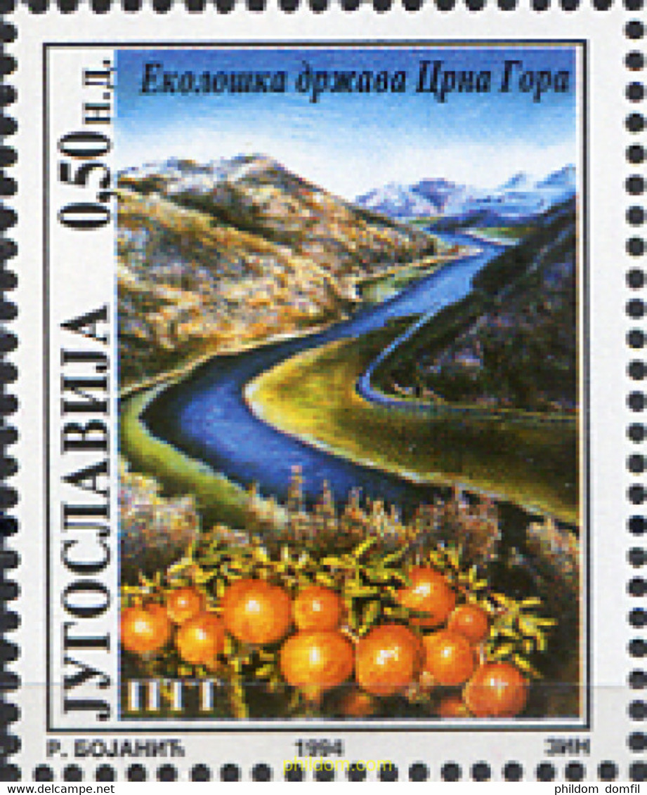 287580 MNH YUGOSLAVIA 1994 EL MONTENEGRO - ESTADO ECOLOGICO - Gebraucht