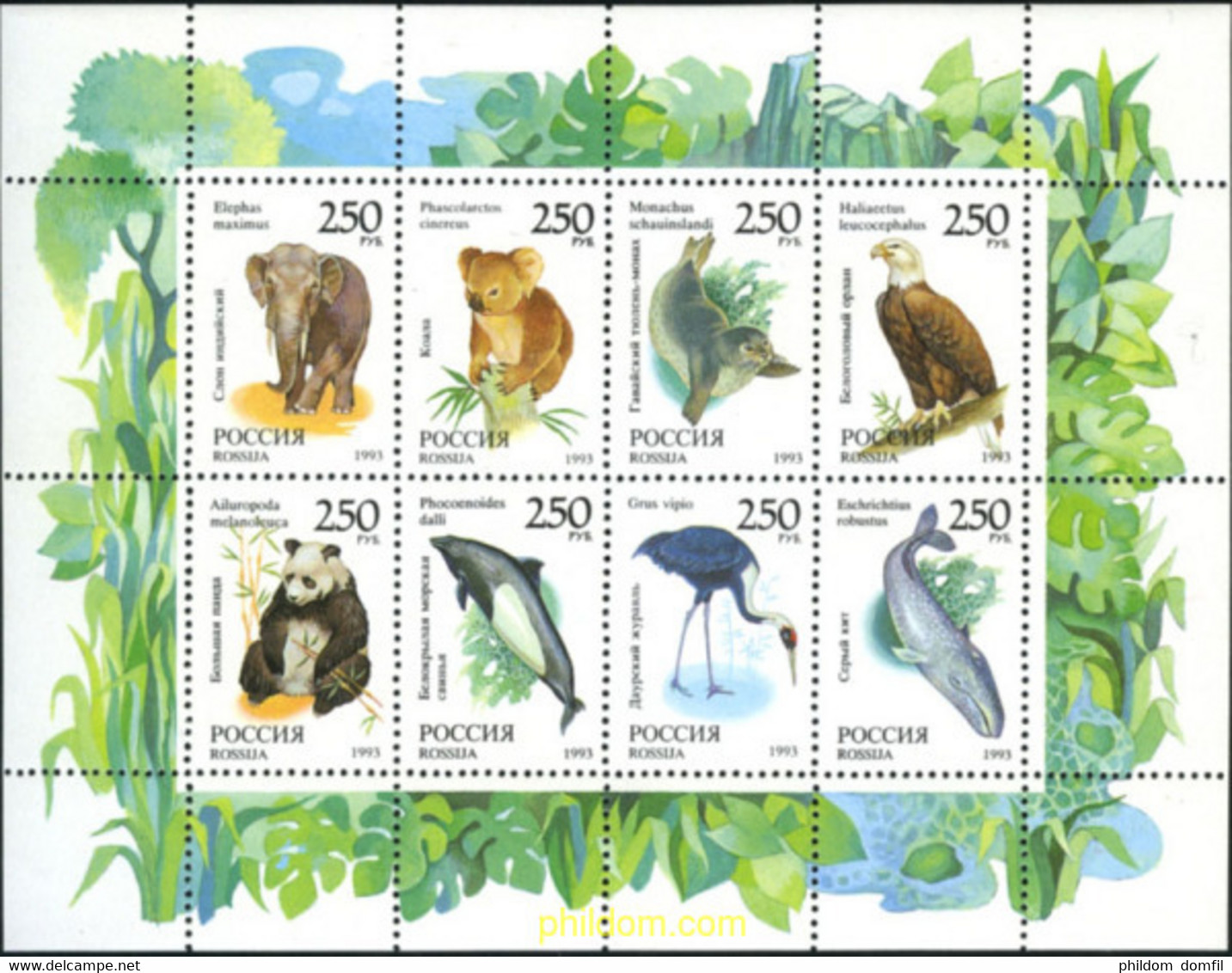 145443 MNH RUSIA 1993 FAUNA DEL MUNDO - Used Stamps