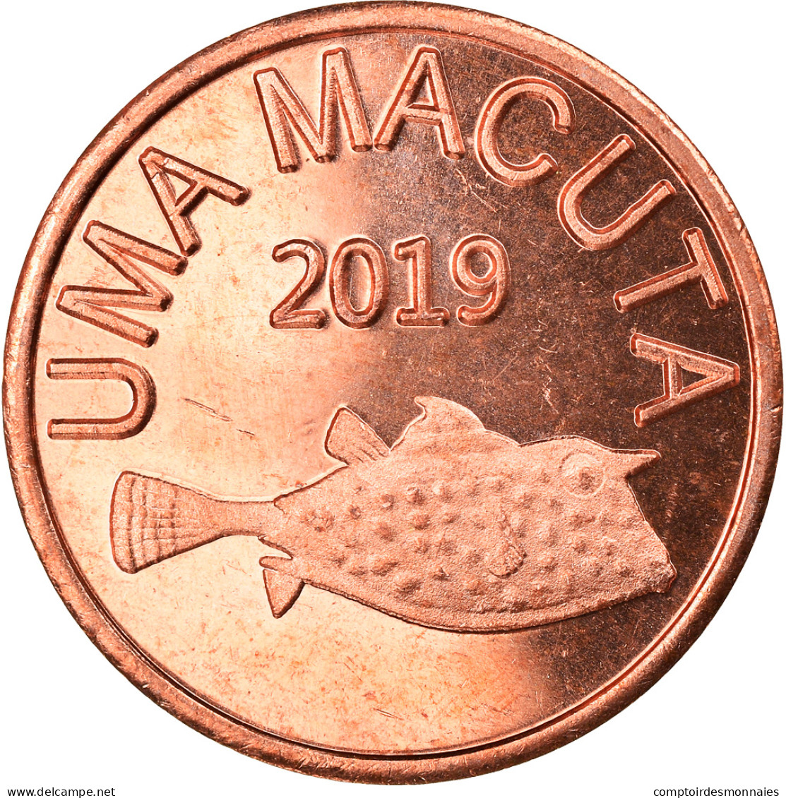 Monnaie, CABINDA, Macuta, 2019, SPL, Cuivre - Angola