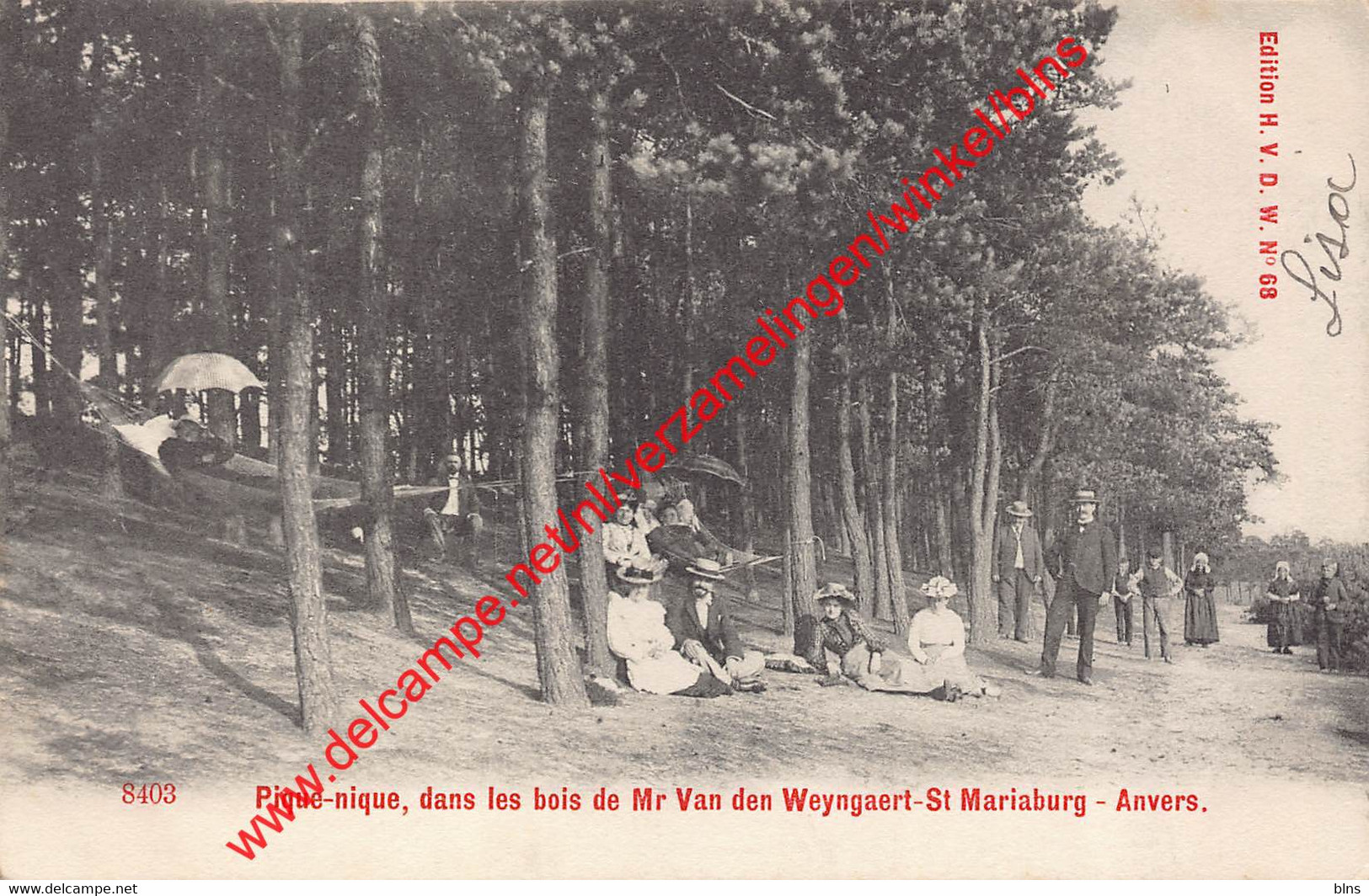 St Mariaburg - Pique-nique Dans Les Bois De Mr Van Den Weyngaert - Brasschaat - Brasschaat