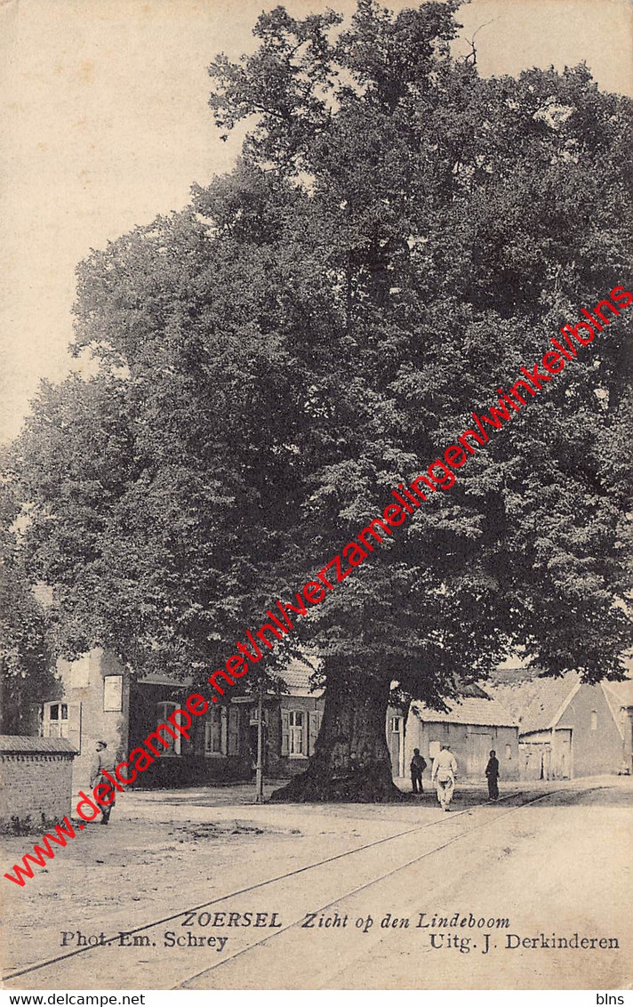 Zicht Op Den Lindeboom - Zoersel - Zoersel