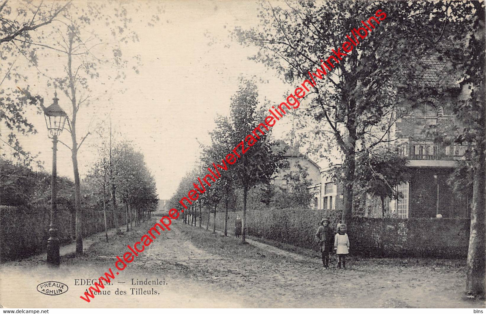 Lindenlei - Avenue Des Tilleuls - Edegem - Edegem